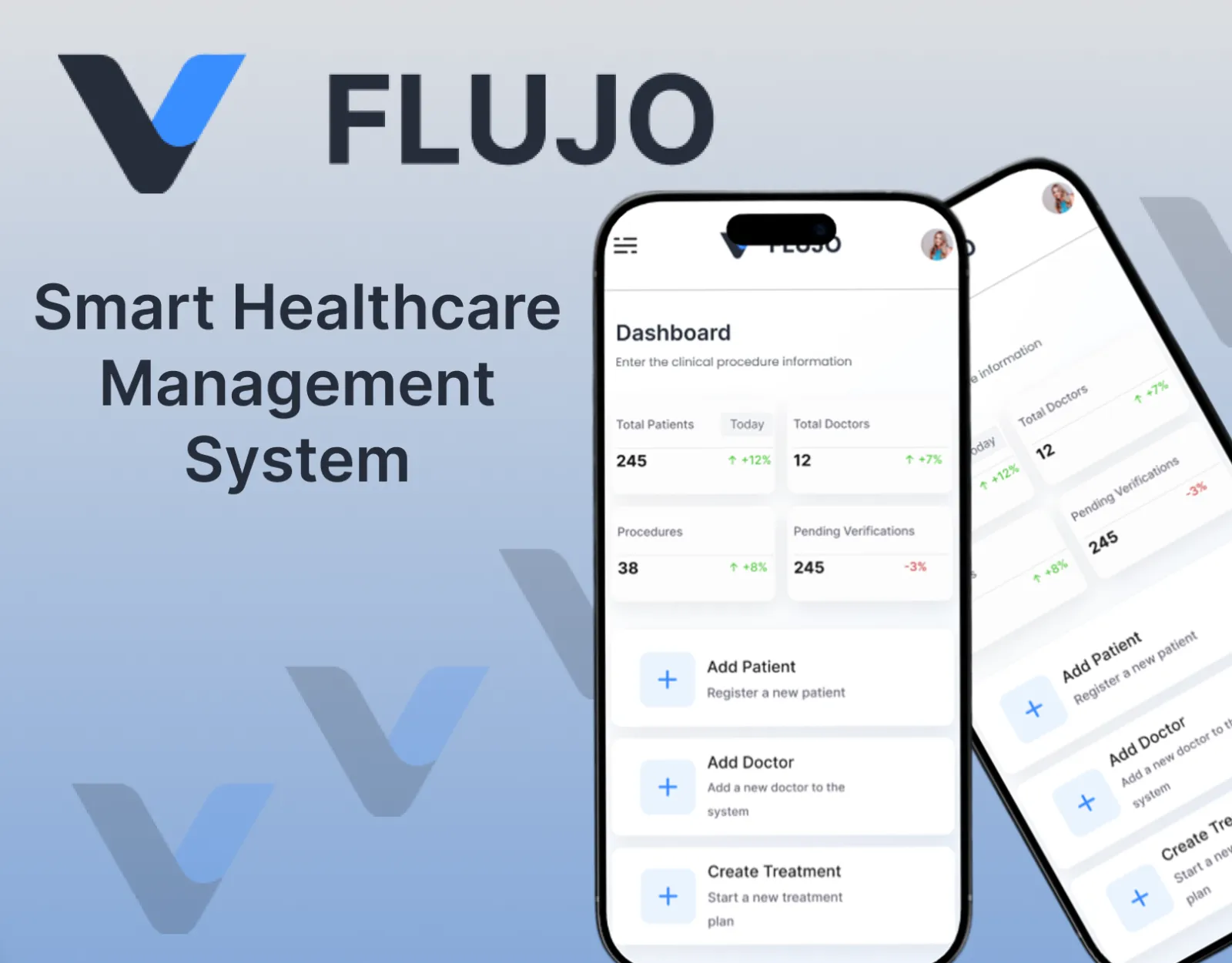 Flujo project