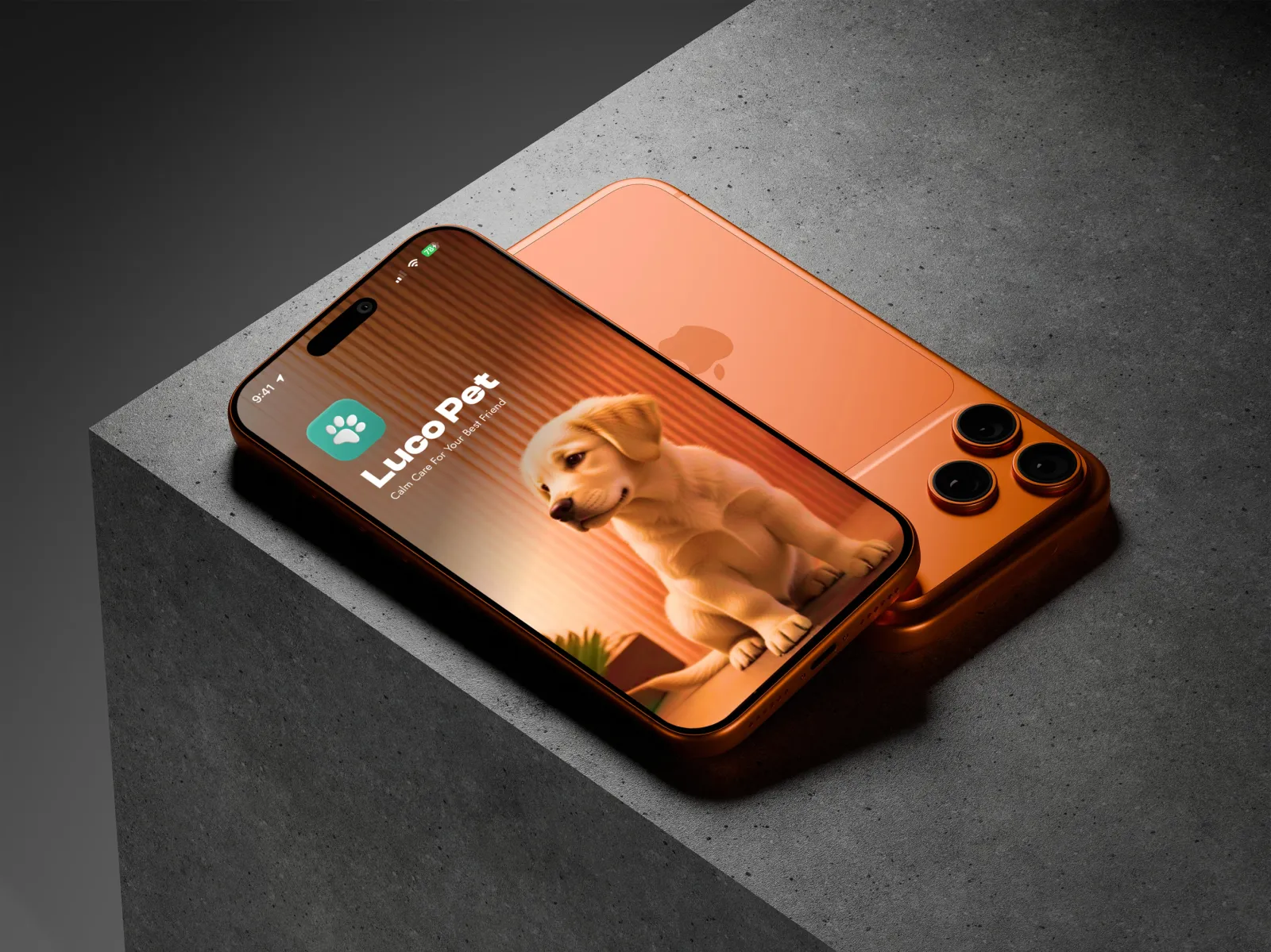 LucoPet Mobile App project